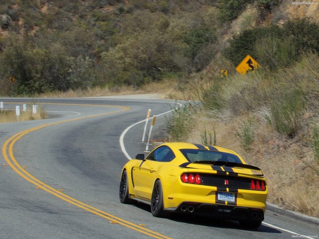 شلبی موستانگ GT350R مدل 2016