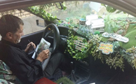 سبزترین تاکسی در ایران